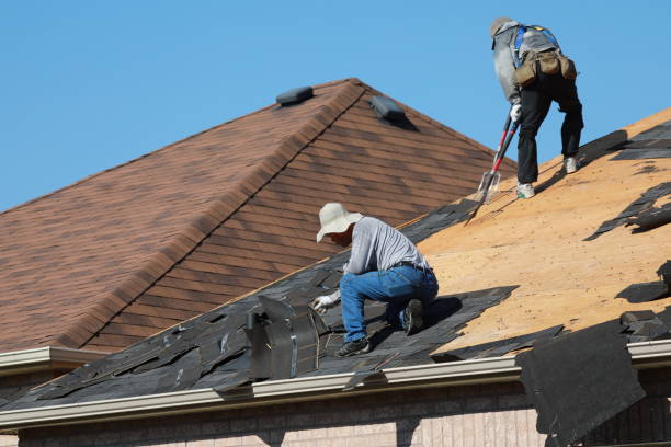 Lapeer, MI  Roofing repair and installation Company