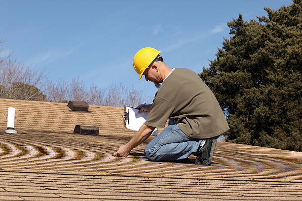 Best Rubber Roofing (EPDM, TPO)  in Lapeer, MI